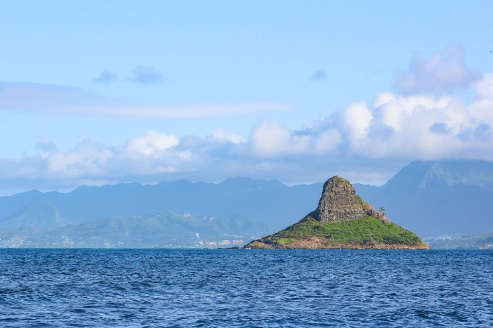 Oahu: Circle Island Snorkeling Tour - Policies