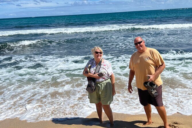 Oahu Circle Island Tour Great for Solo Travelers and Small Groups - Why Choose This Tour? Key Highlights