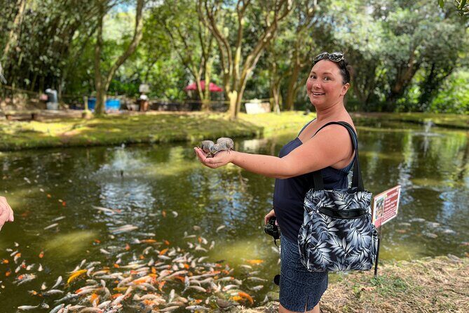 Oahu Circle Island Tour Great for Solo Travelers and Small Groups - Final Summary