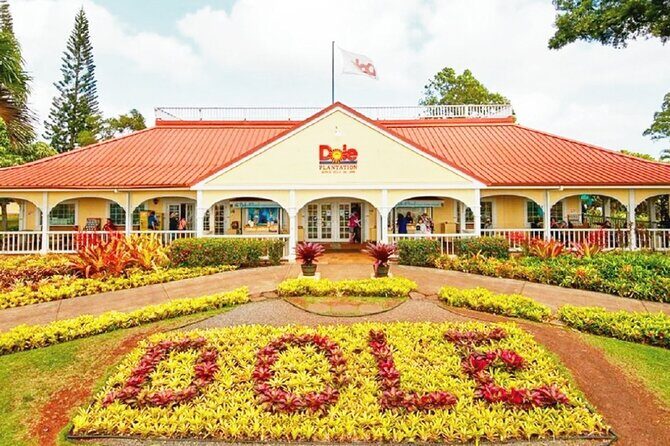 Oahu Circle Island Tour with Snorkeling + Free Perks & Free Wi-Fi - Practical Considerations and Value