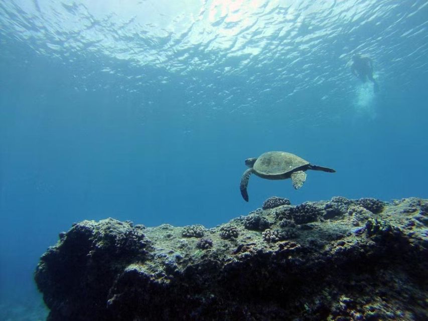 O'ahu: Custom Private Island Tour of Oahu - Key Points