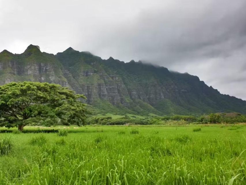 O'ahu: Custom Private Island Tour of Oahu - Recap