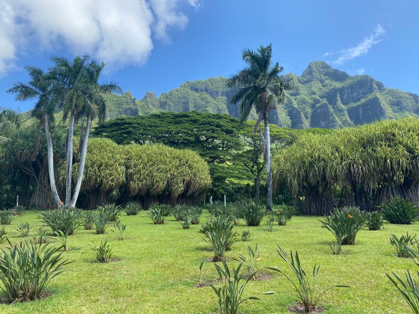 Oahu: Diamond Head Crater Hike and North Shore Experience - Visiting Halona Blowhole