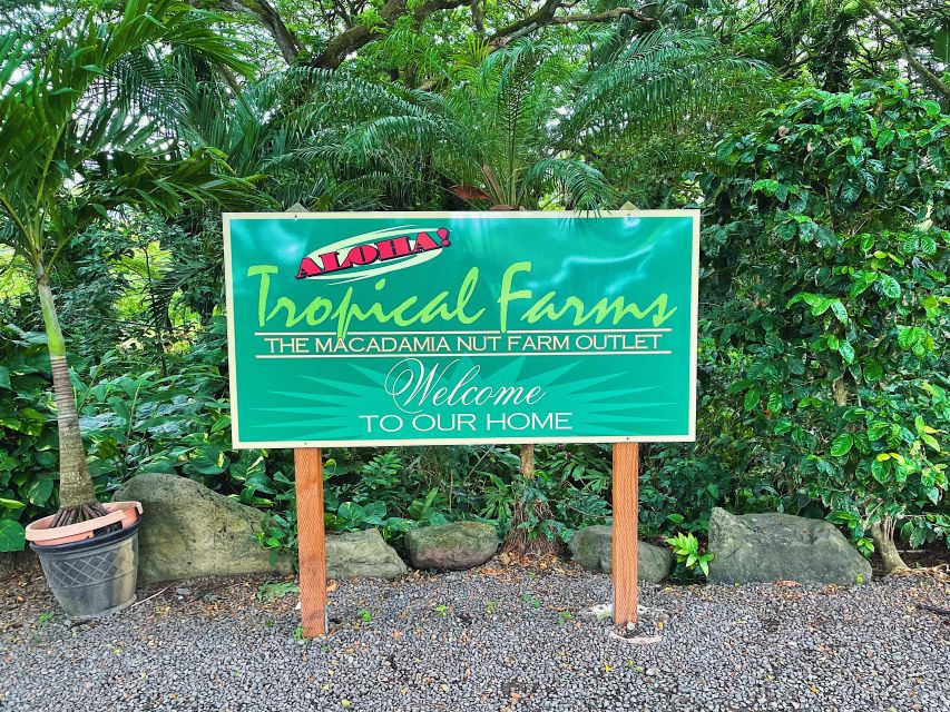 Oahu: Diamond Head Crater Hike and North Shore Experience - Enjoying Haleiwa Beach Park
