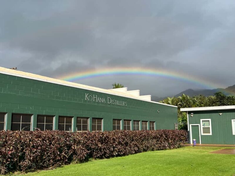 Oahu: Dole Plantation, Rum Tasting, and 3 Zipline Tour - Dole Plantation – A Tropical Welcome