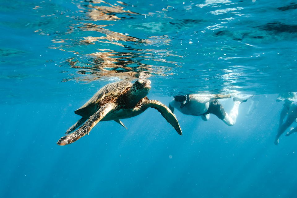 Oahu: Dolphin Swim and Snorkeling Speedboat Tour - Cruising the West Coast