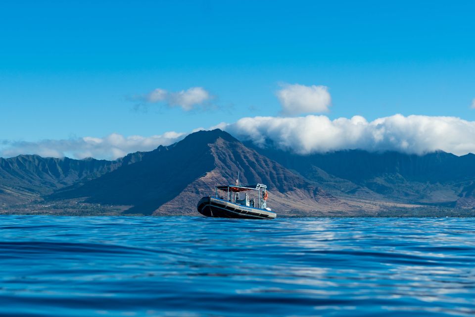 Oahu: Dolphin Swim and Snorkeling Speedboat Tour - Optional Extras