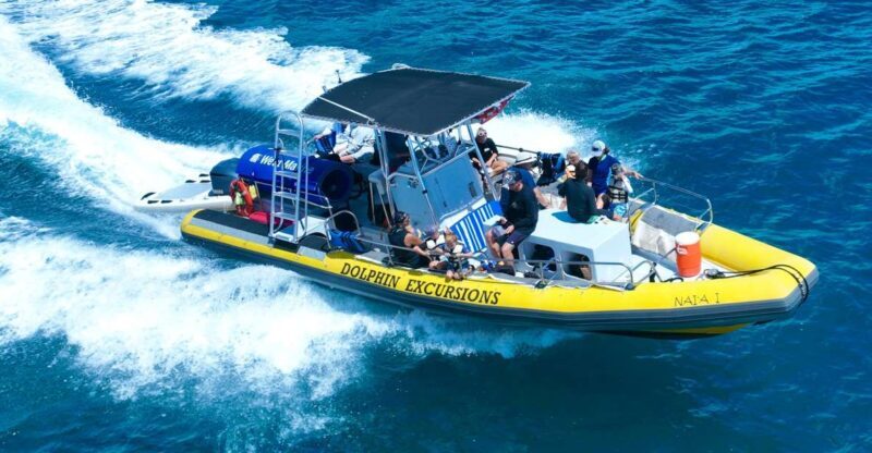 Oahu: Dolphin Swim and Turtle Snorkel Excursion in Waianae - Lunch and Comfort