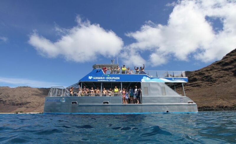 Oahu Dolphin Watch, Turtle Snorkel, Waterslide Activities - Who Will Love This Tour?