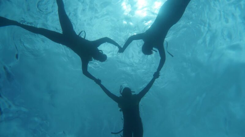 Oahu Dolphin Watch, Turtle Snorkel, Waterslide Activities - The Sum Up