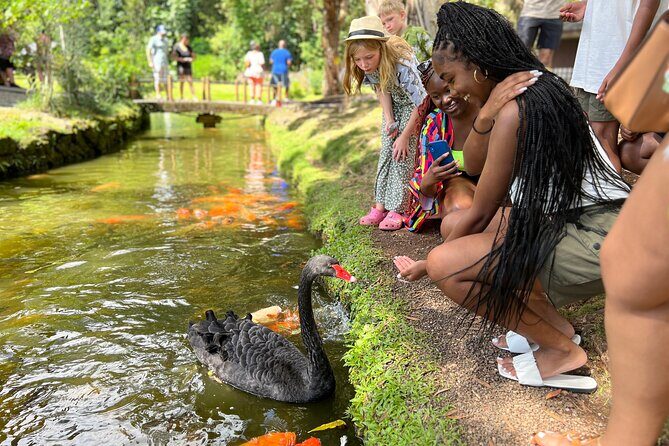 Oahu Family Adventure: Circle Island Tour + Byodo-in Temple - A Deep Dive into the Itinerary