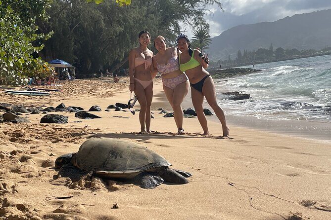 Oahu Family Adventure: Circle Island Tour + Byodo-in Temple - Who Would Love This Tour?