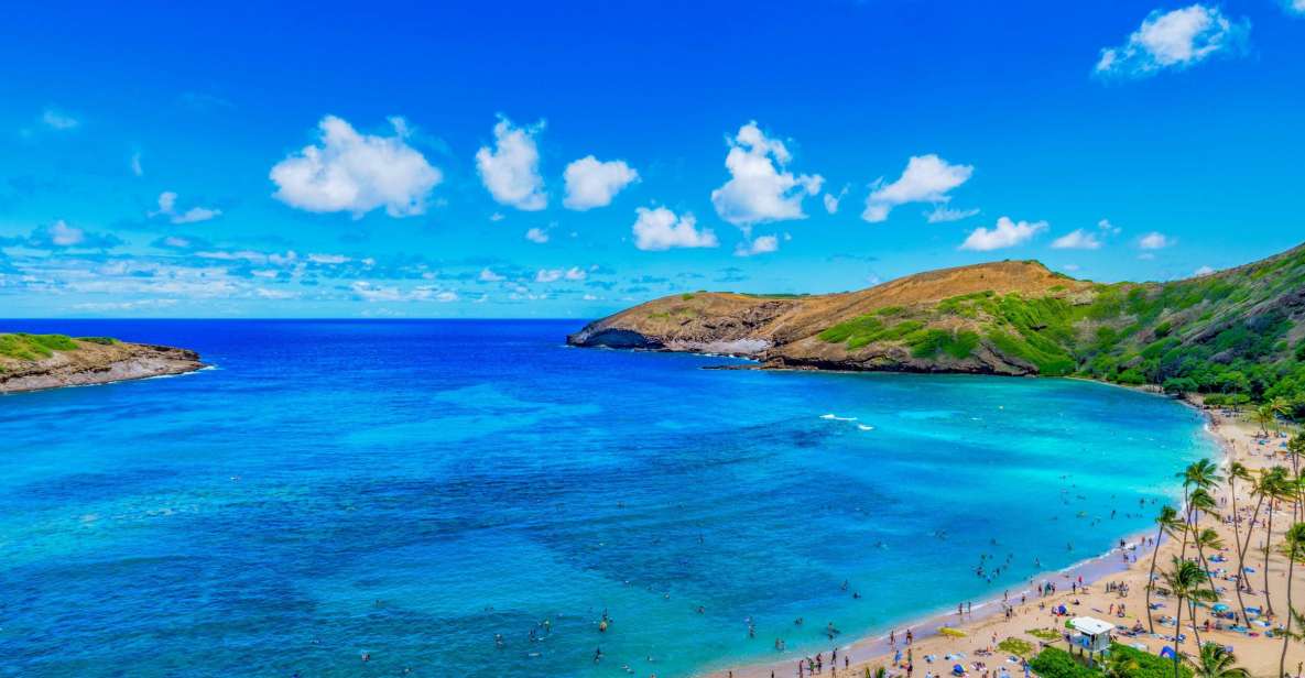 Oahu: Full-Day Island Highlights Tour With Transfer - Scenic Drives and Viewpoints