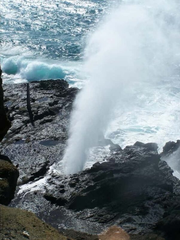 Oahu: Full-Day Tour with Snorkeling, Free Wi-Fi & Free Perks - A Deep Dive into the Oahu Full-Day Tour