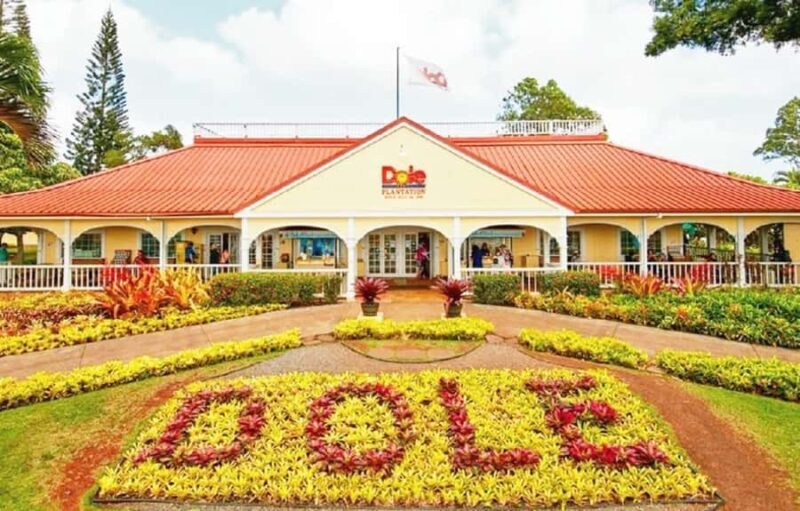 Oahu: Full-Day Tour with Snorkeling, Free Wi-Fi & Free Perks - The Sum Up: Is This Tour Worth It?