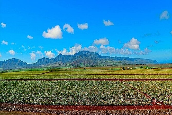 Oahu Grand Circle Island Tour Departing From Maui - What to Expect on the Tour
