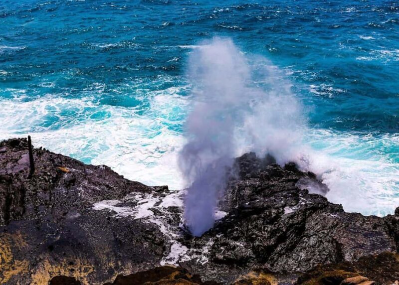 Oahu: Grand Circle Island Tour with Haleiwa - Practical Tips for Travelers