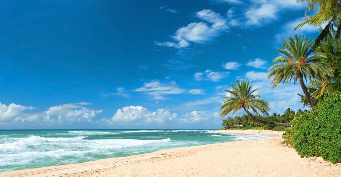 Oahu: Guided Tour of North Shore and Waimea Botanical Garden - Waimea Botanical Garden