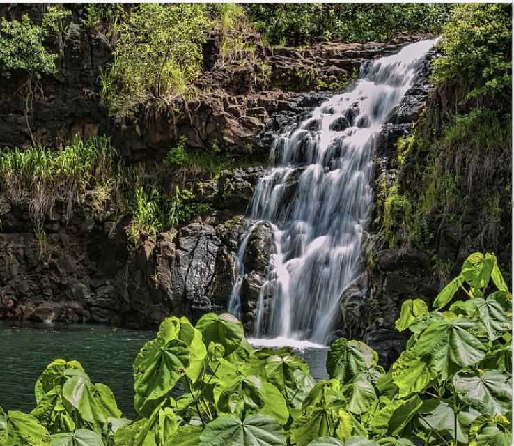 Oahu Hidden Gems & Waimea Botanical Garden/Waterfall Tour - Tour Highlights