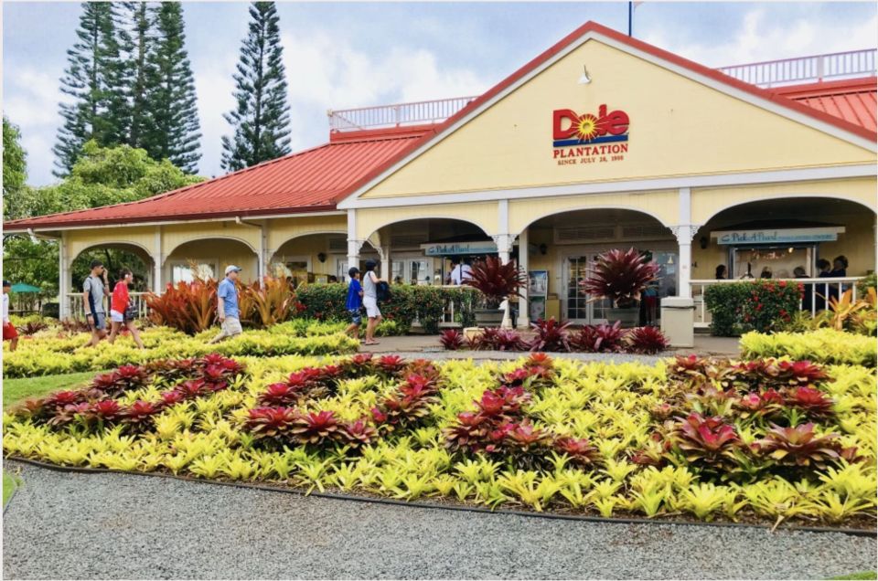 Oahu Hidden Gems & Waimea Botanical Garden/Waterfall Tour - Dole Pineapple Plantation