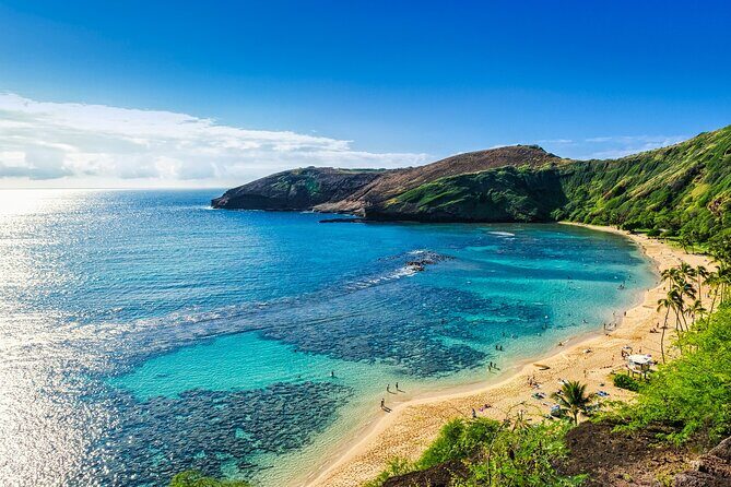 Oahu Highlights Private Tour: Nature, Views & Turtles in 6 Hours - The Sum Up