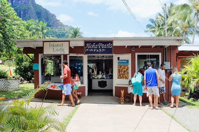 Oahu Highlights Private Tour: Nature, Views & Turtles in 6 Hours - FAQ