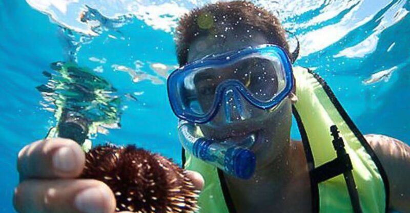 Oahu: Hilton Hawaiian Village Snorkel Tour - Analyzing the Value and Experience