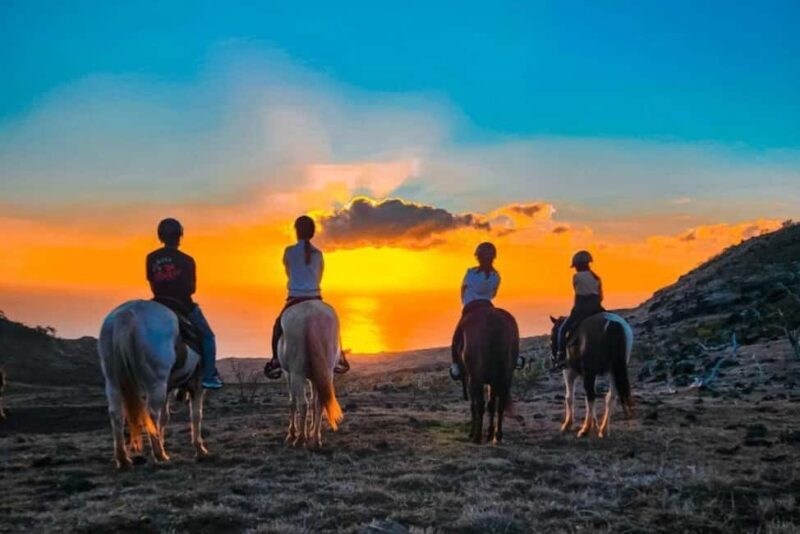 Oahu: Horseback Riding Sunshine or Sunset Tour - Key Points