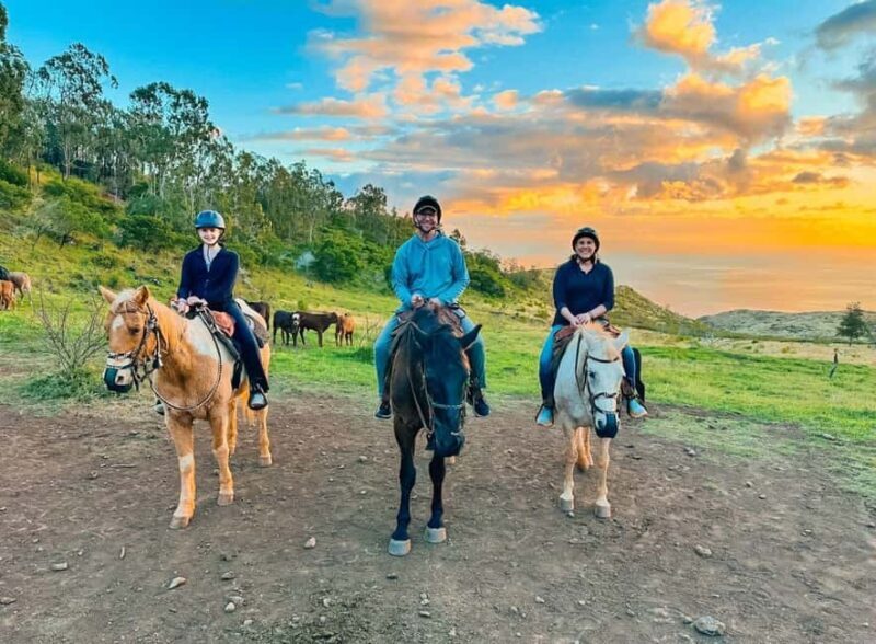 Oahu: Horseback Riding Sunshine or Sunset Tour - The Experience: What to Expect