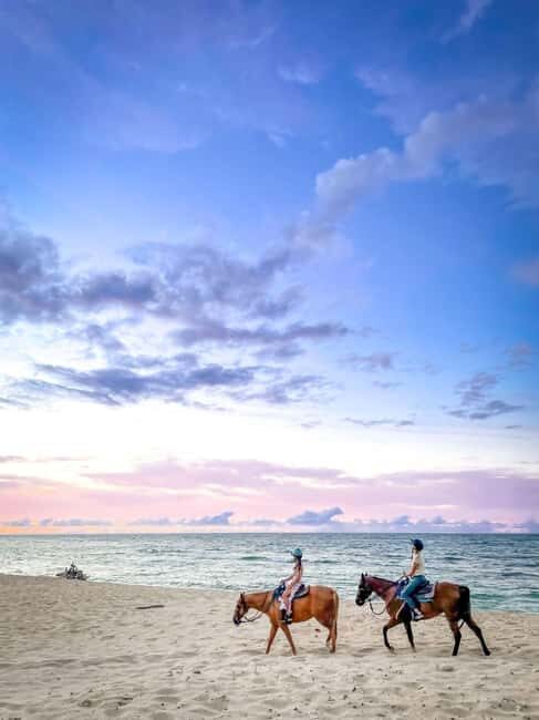 Oahu: Horseback Riding Tour on the North Shore - Key Points