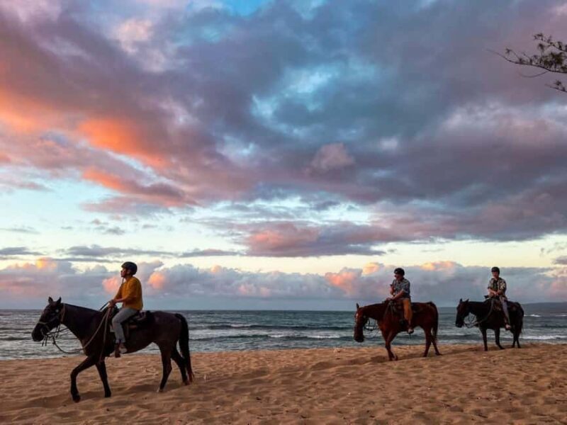 Oahu: Horseback Riding Tour on the North Shore - The Experience: What to Expect on the North Shore Horseback Ride