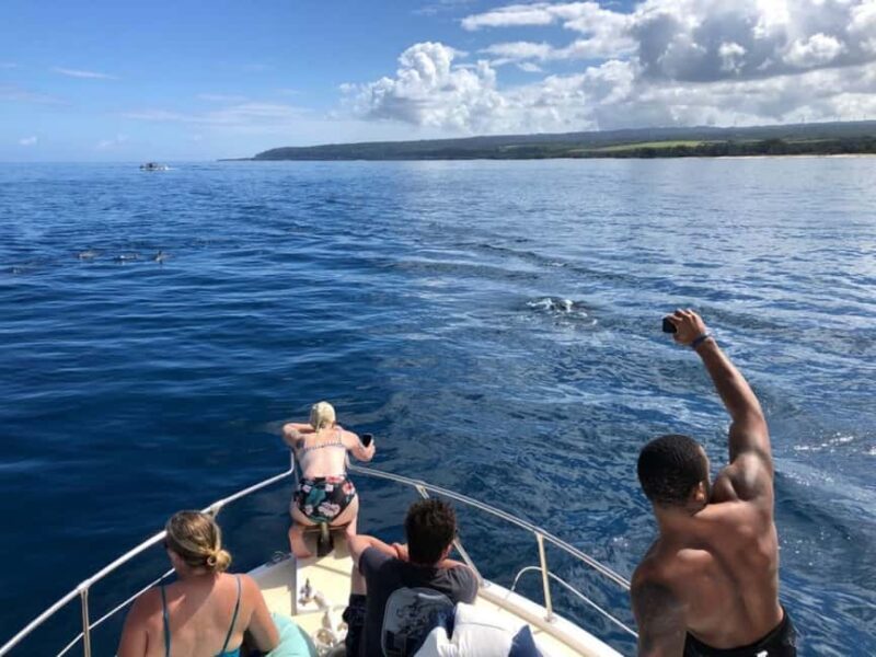 Oahu: Humpback Whale Watching Tour - Pricing and Value