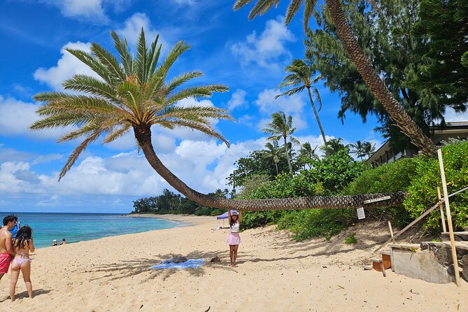 Oahu Island Jeep Tour - The Sum Up