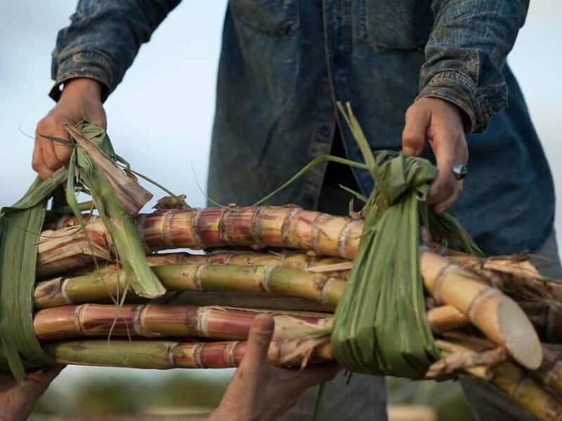 Oahu: K Hana Agricole Rum Distillery Tour and Tasting - Key Points