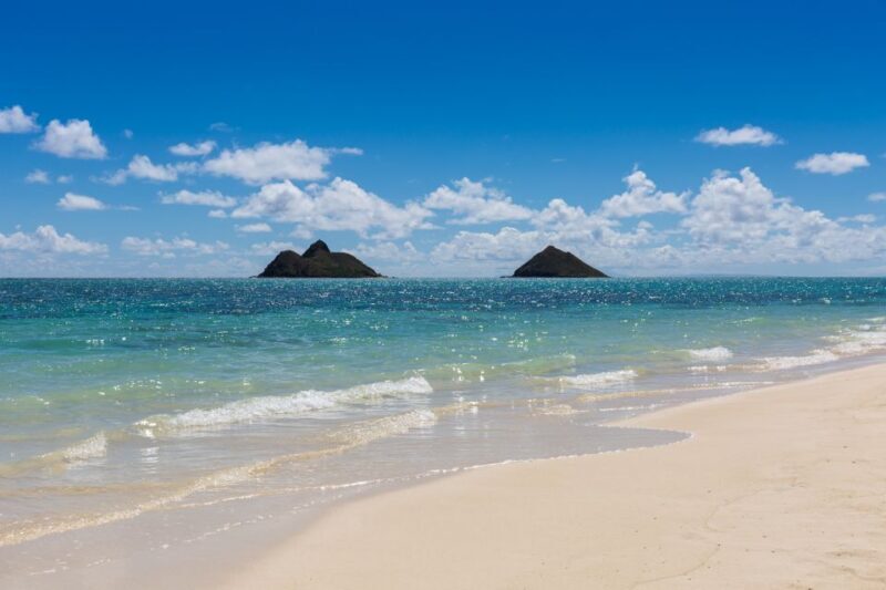 Oahu: Kailua Guided Kayak Excursion with Lunch - Key Points