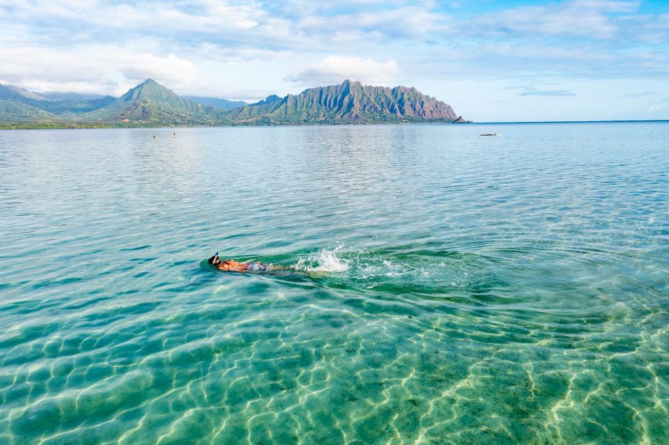 Oahu: Kaneohe Bay Coral Reef Kayaking Rental - Included Amenities