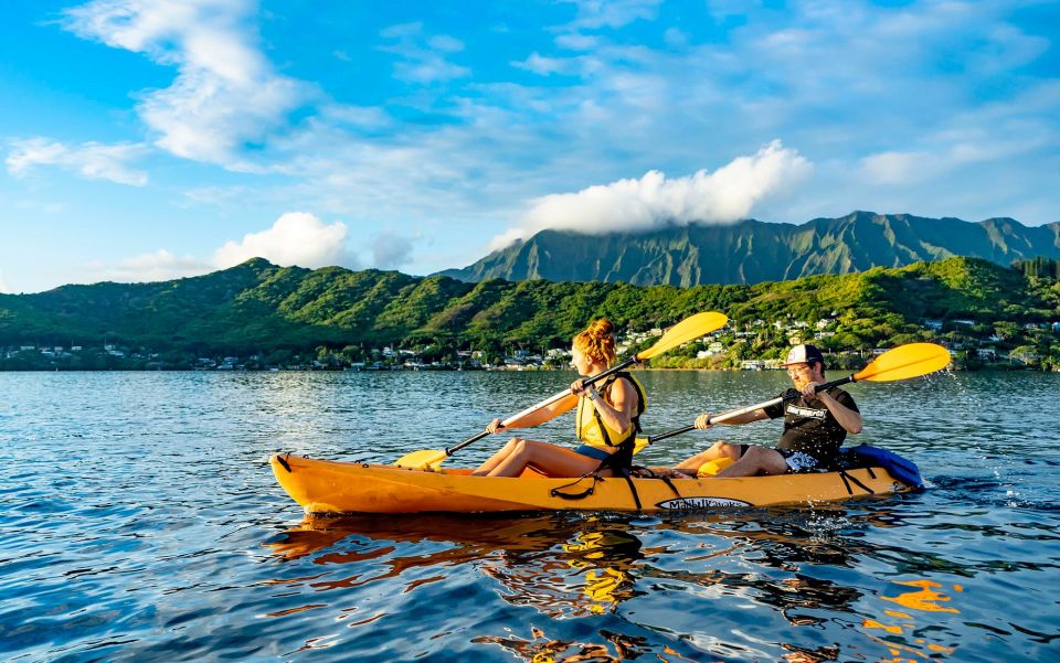Oahu: Kaneohe Bay Coral Reef Kayaking Rental - Important Considerations