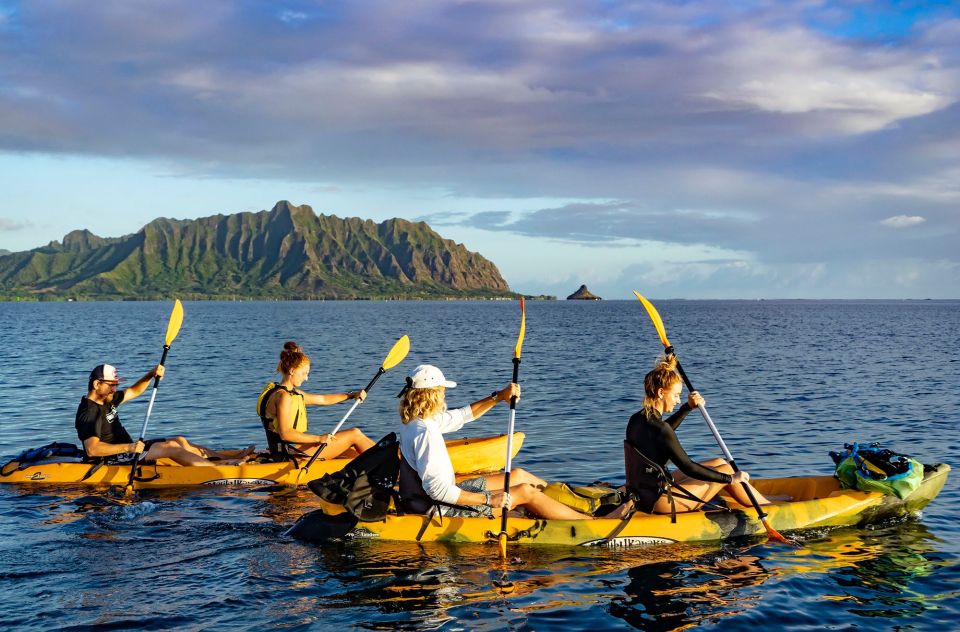 Oahu: Kaneohe Bay Coral Reef Kayaking Rental - Recap