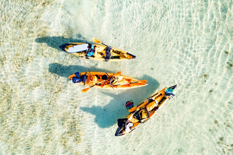Oahu: Kaneohe Self-Guided Sandbar Kayaking Experience - Booking and Reservations