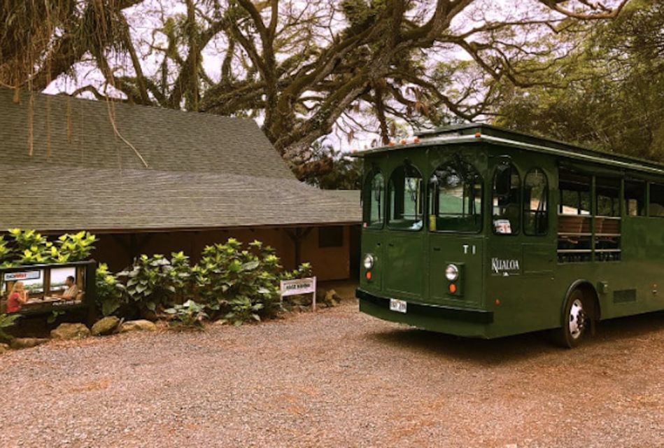 Oahu: Kualoa Movie Sites, Jungle, and Buffet Tour Package - Guided Jungle Trekking