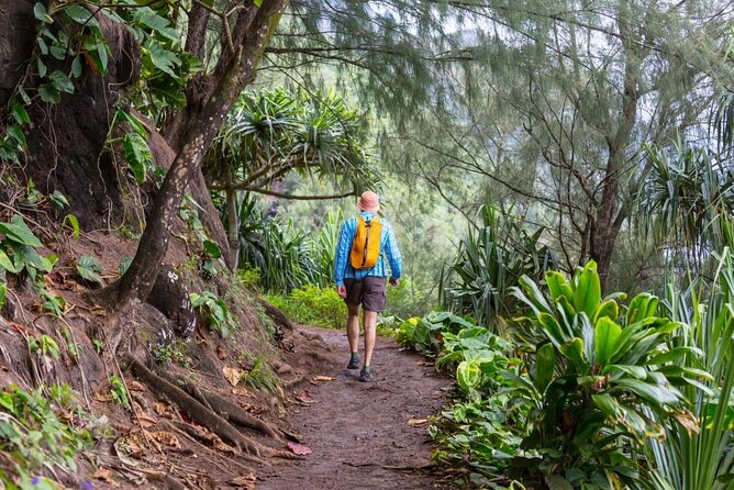 Oahu: Legendary North Shore Loop Driving Tour - Good To Know