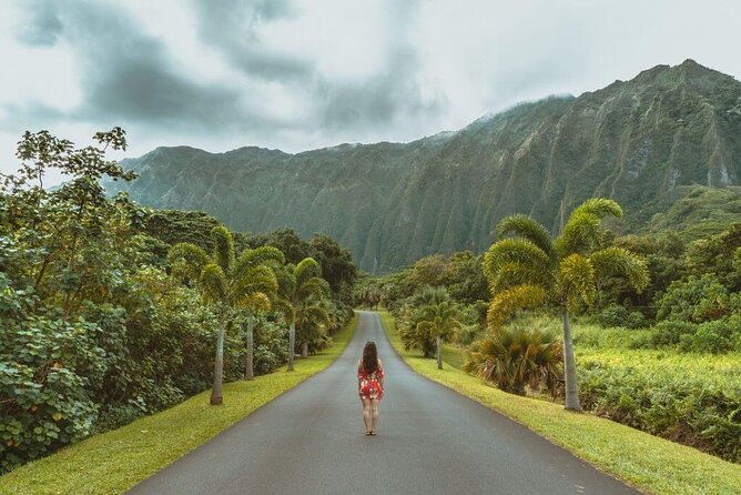 Oahu: Legendary North Shore Loop Driving Tour - Exploring the North Shore