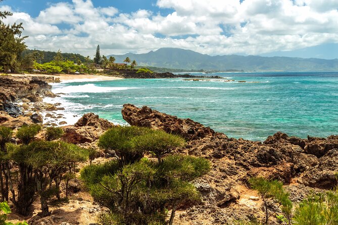 Oahu: Legendary North Shore Loop Driving Tour - Discovering Hidden Treasures