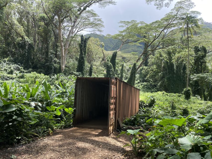 Oahu: Manoa Falls Trail Hiking Shuttle - Frequently Asked Questions