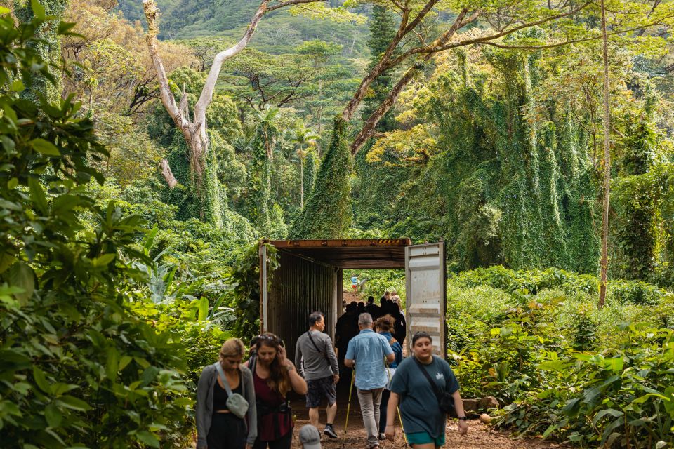 Oahu: Manoa Falls Waterfall Hike With Lunch and Transfers - Manoa Falls and Rainforest