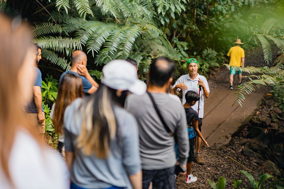 Oahu: Manoa Falls Waterfall Hike With Lunch and Transfers - Jurassic Park and Lost Filming Locations