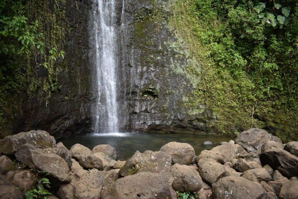 Oahu: Manoa Falls Waterfall Hike With Lunch and Transfers - Healthy Power Lunch