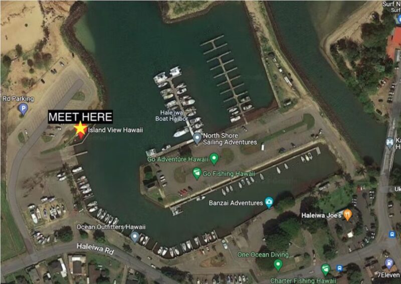 Oahu: North Shore Cageless Shark Snorkeling Tour - Final Thoughts