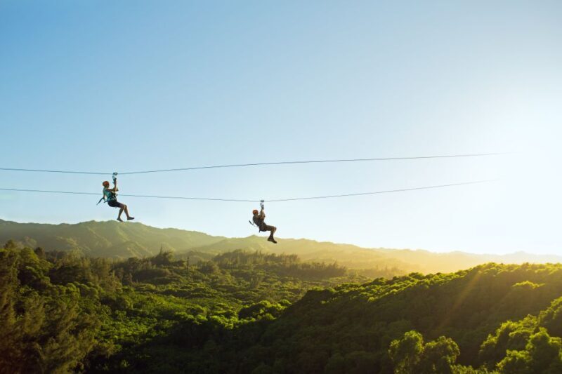 Oahu: North Shore Zip Line Adventure with ATV and Farm Tour - Rappelling, Sky Bridges, and Surprises
