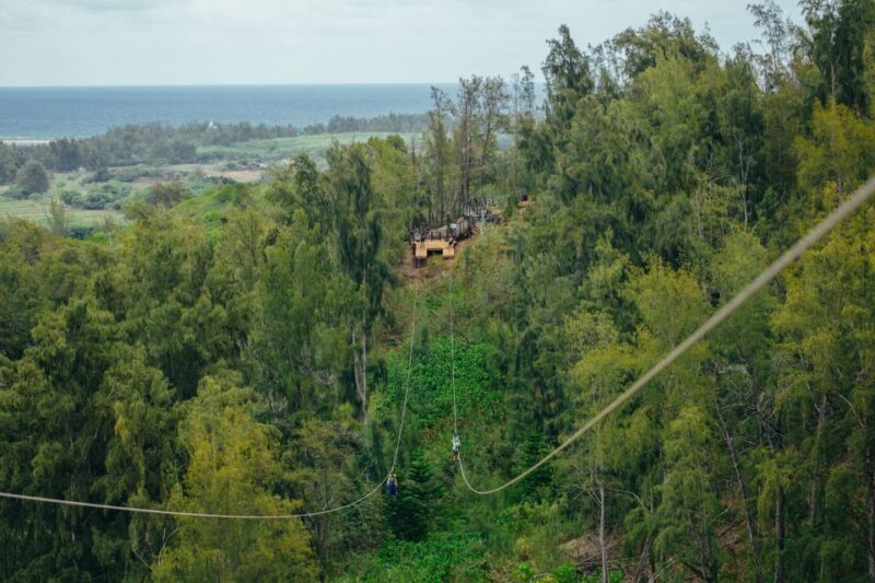 Oahu: North Shore Zip Line Adventure with ATV and Farm Tour - Practical Details and What to Expect